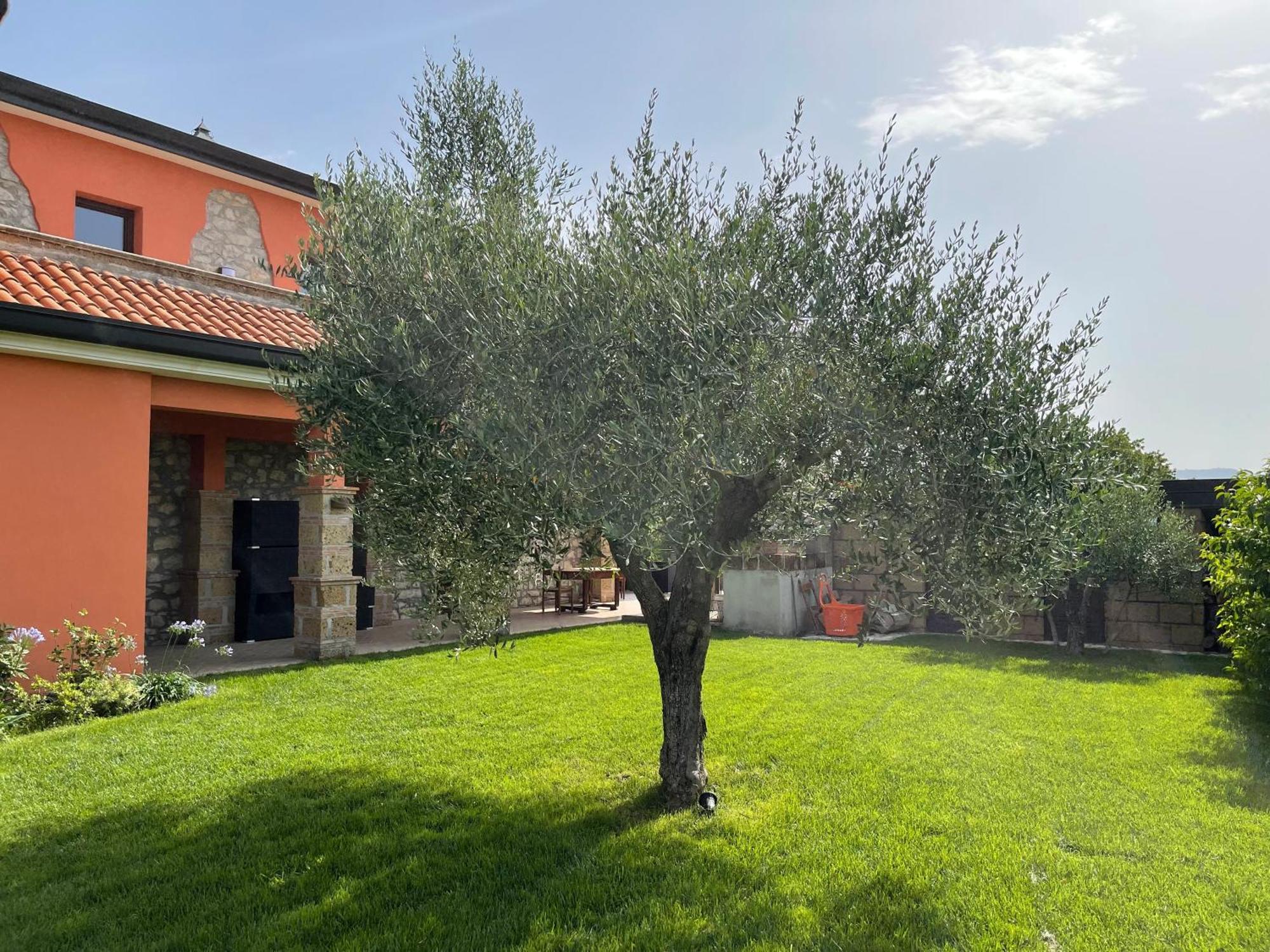 Azienda Agricola Ponterotto Mirabella Eclano Esterno foto