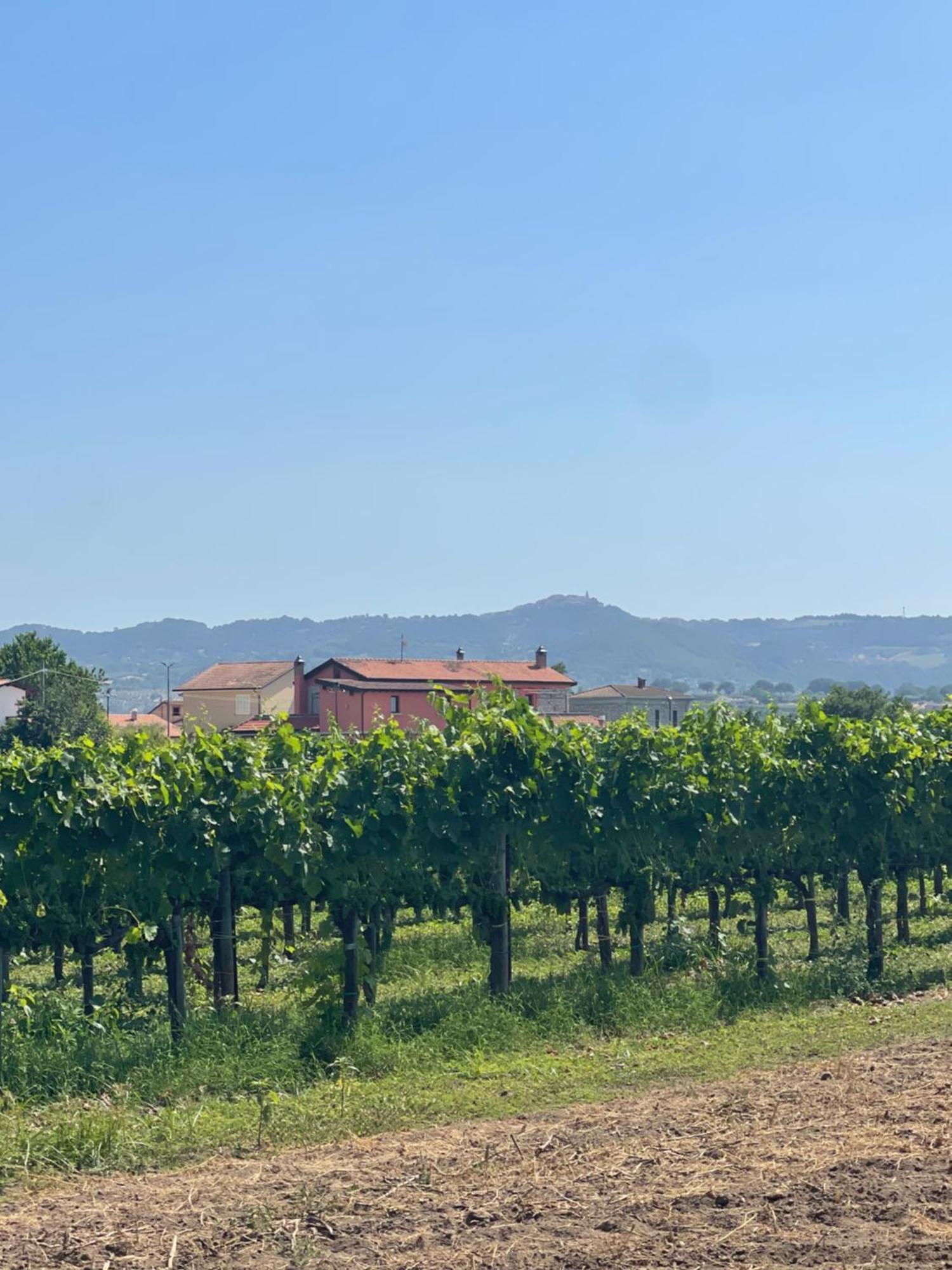 Azienda Agricola Ponterotto Mirabella Eclano Esterno foto