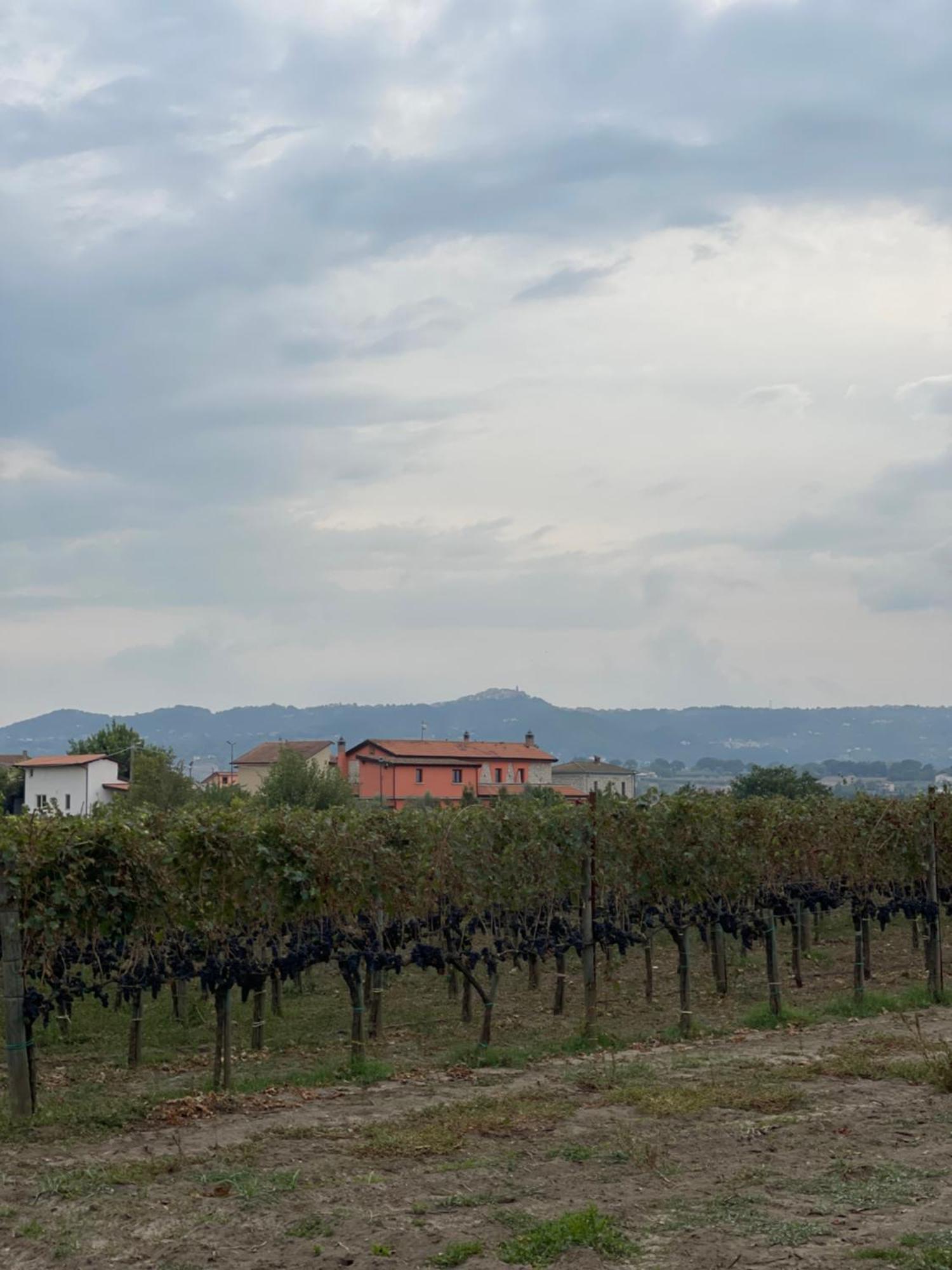 Azienda Agricola Ponterotto Mirabella Eclano Esterno foto